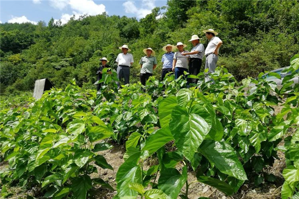 寶業(yè)（集團(tuán)）公司參加中原鎮(zhèn)麻廟村召開“抓產(chǎn)業(yè)促脫貧”暨蠶桑產(chǎn)業(yè)技術(shù)培訓(xùn)會(huì)議